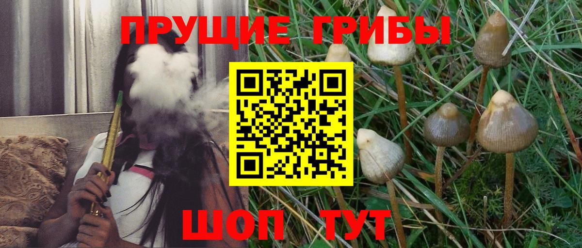 Вышний Волочёк  Псилоцибиновые грибы мицелий  Вход с VPN 